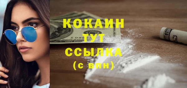 твердый Надым