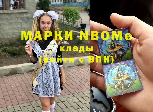 шишки Заволжье