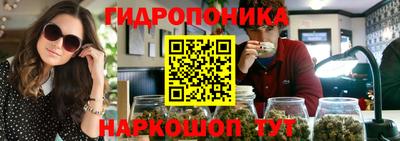 мяу мяу кристалл Гусь-Хрустальный
