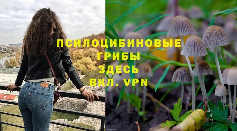 Галлюциногенные грибы MAGIC MUSHROOMS  гидра маркетплейс  Красноуфимск 